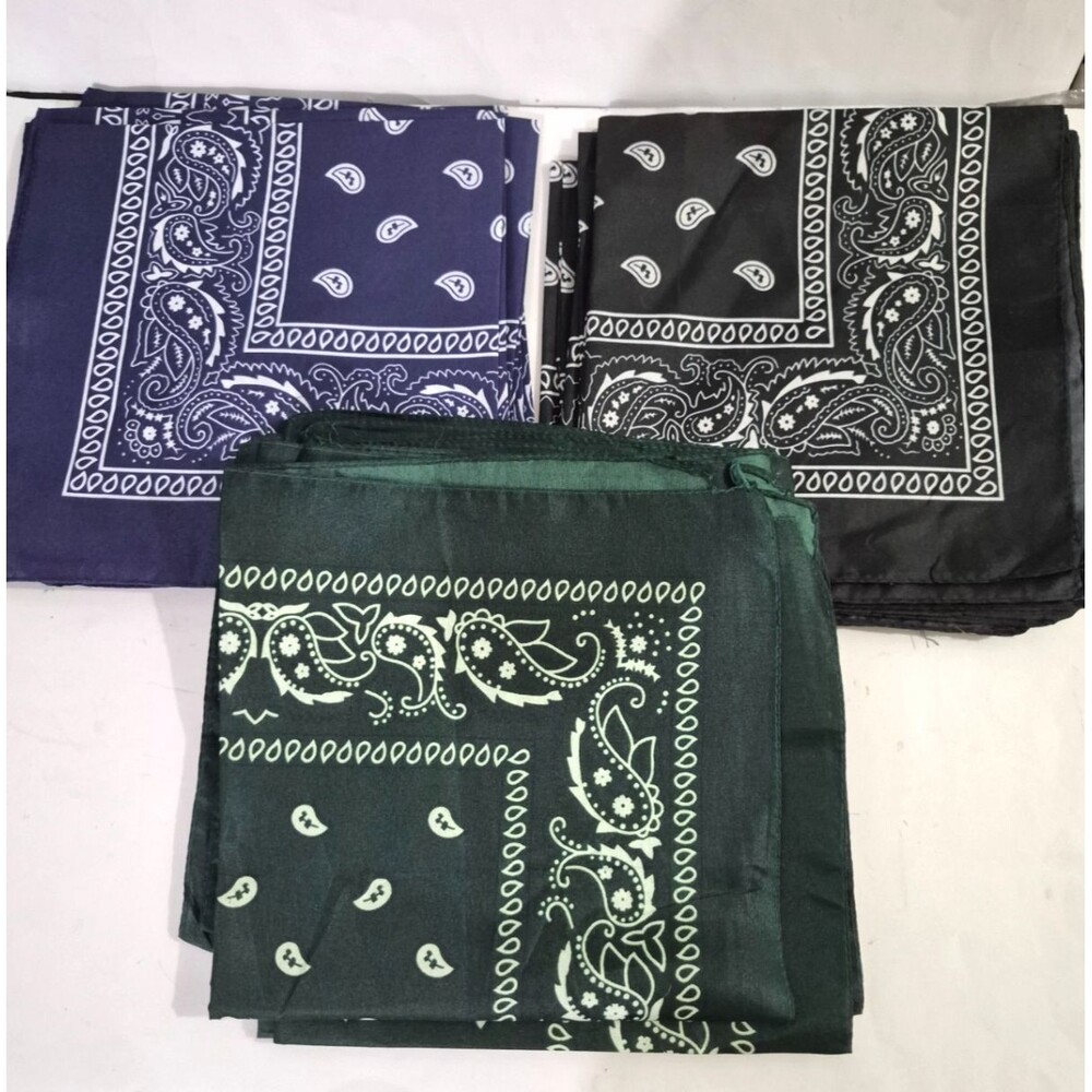 Bandana Lot 24pc Paisley Print Double-Sided Scarf Neck FaceMask 3 Colors